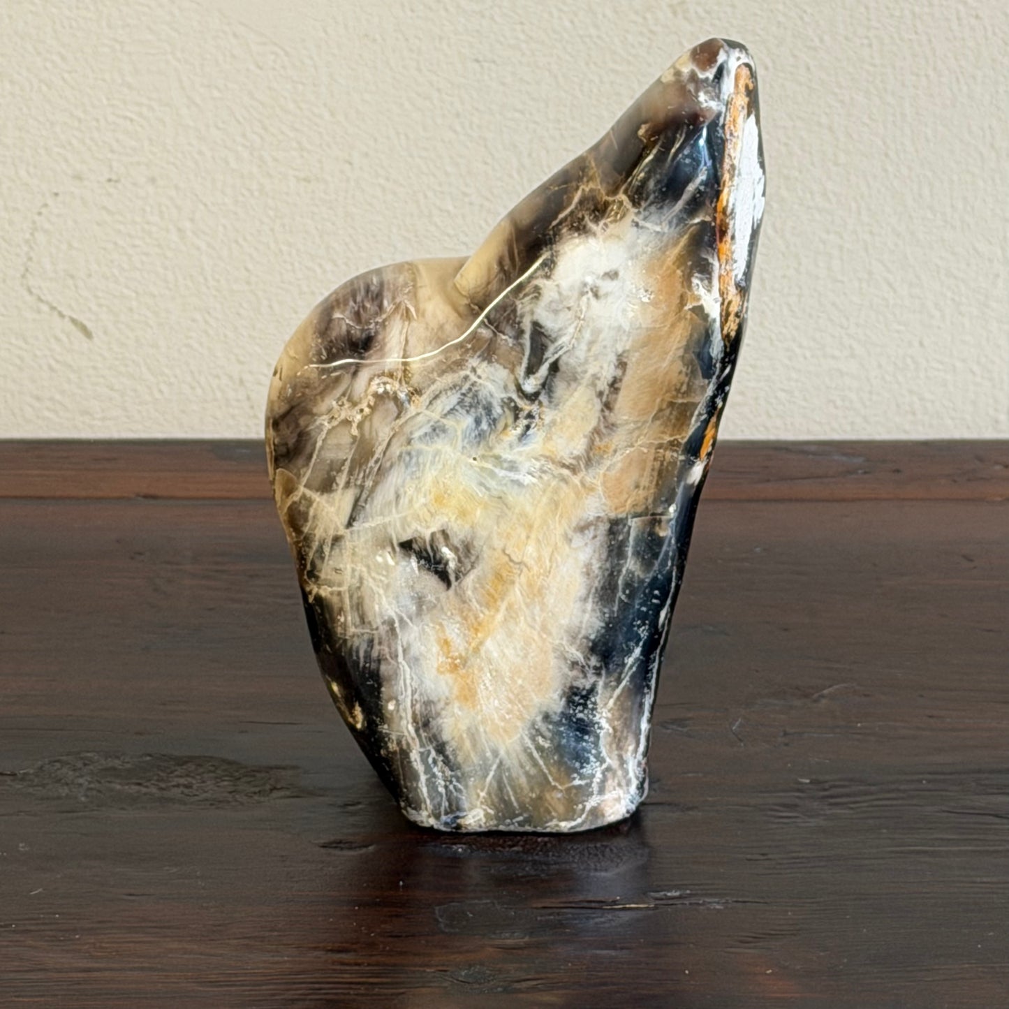 Scultura in legno fossile - 50007 C