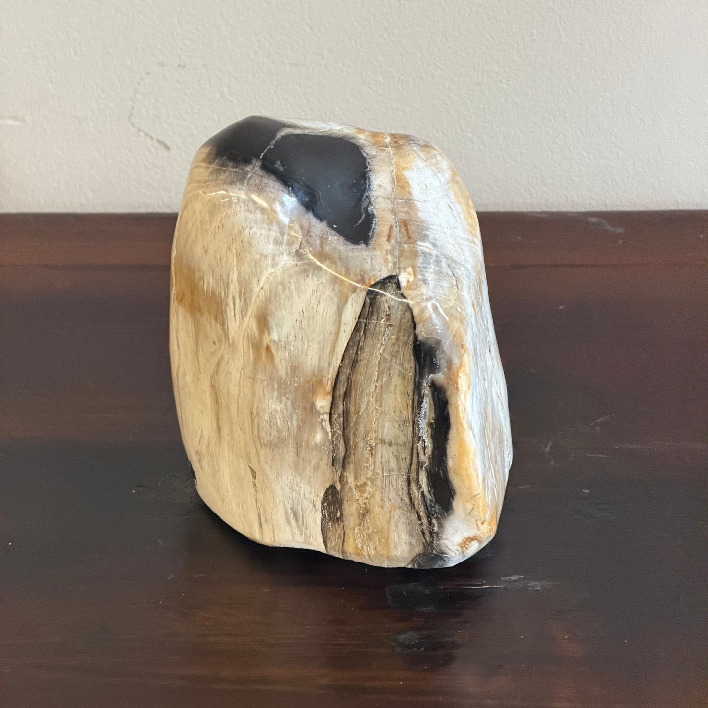 Scultura in legno fossile - 50007 B