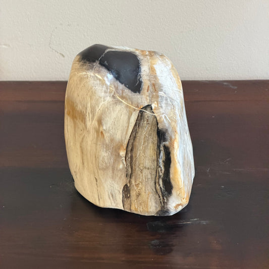 Scultura in legno fossile - 50007 B