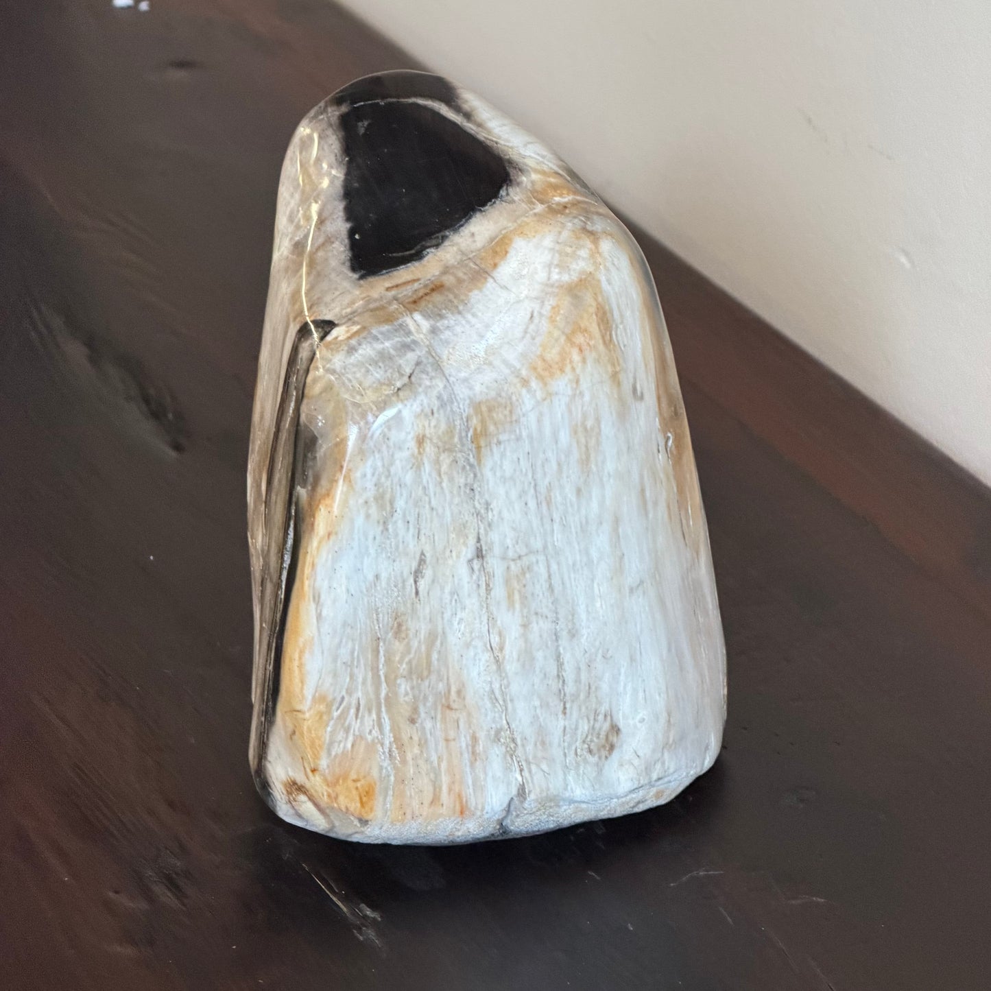 Scultura in legno fossile - 50007 B