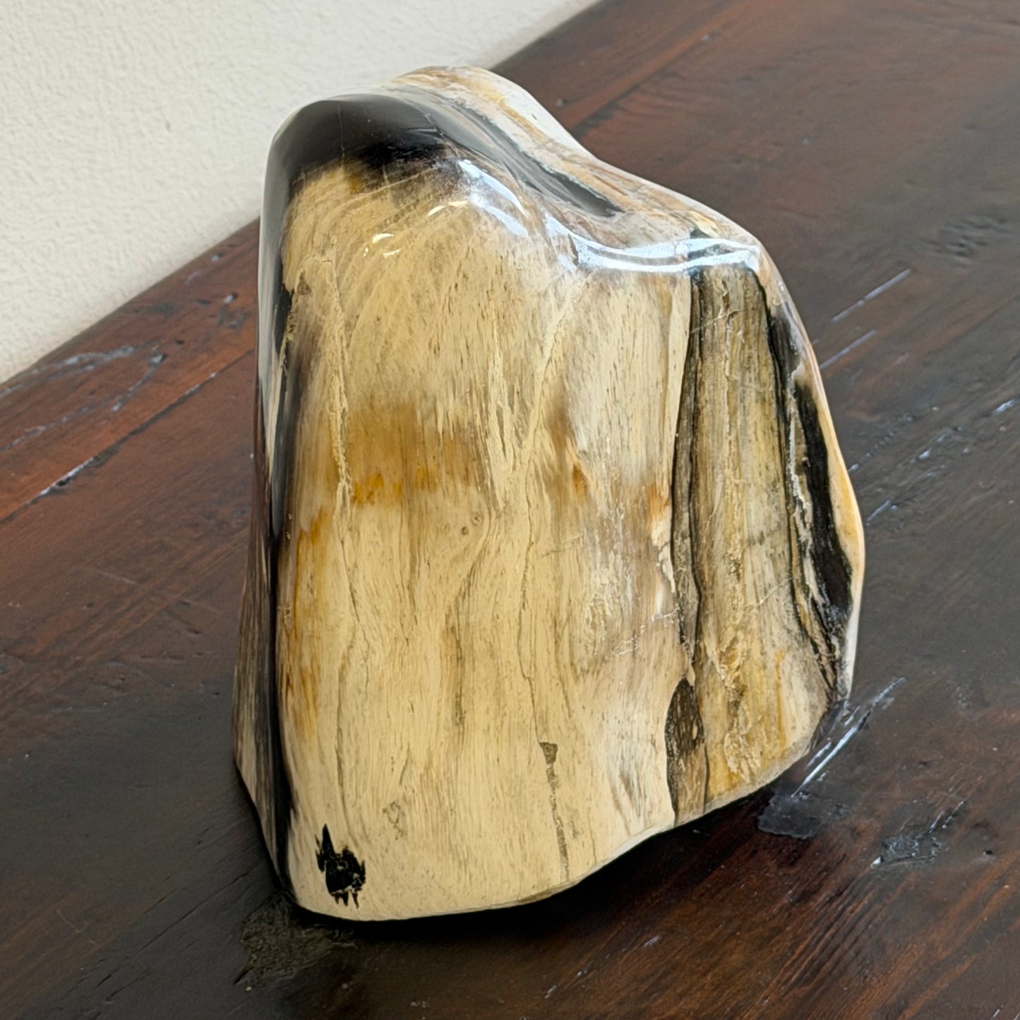 Scultura in legno fossile - 50007 B