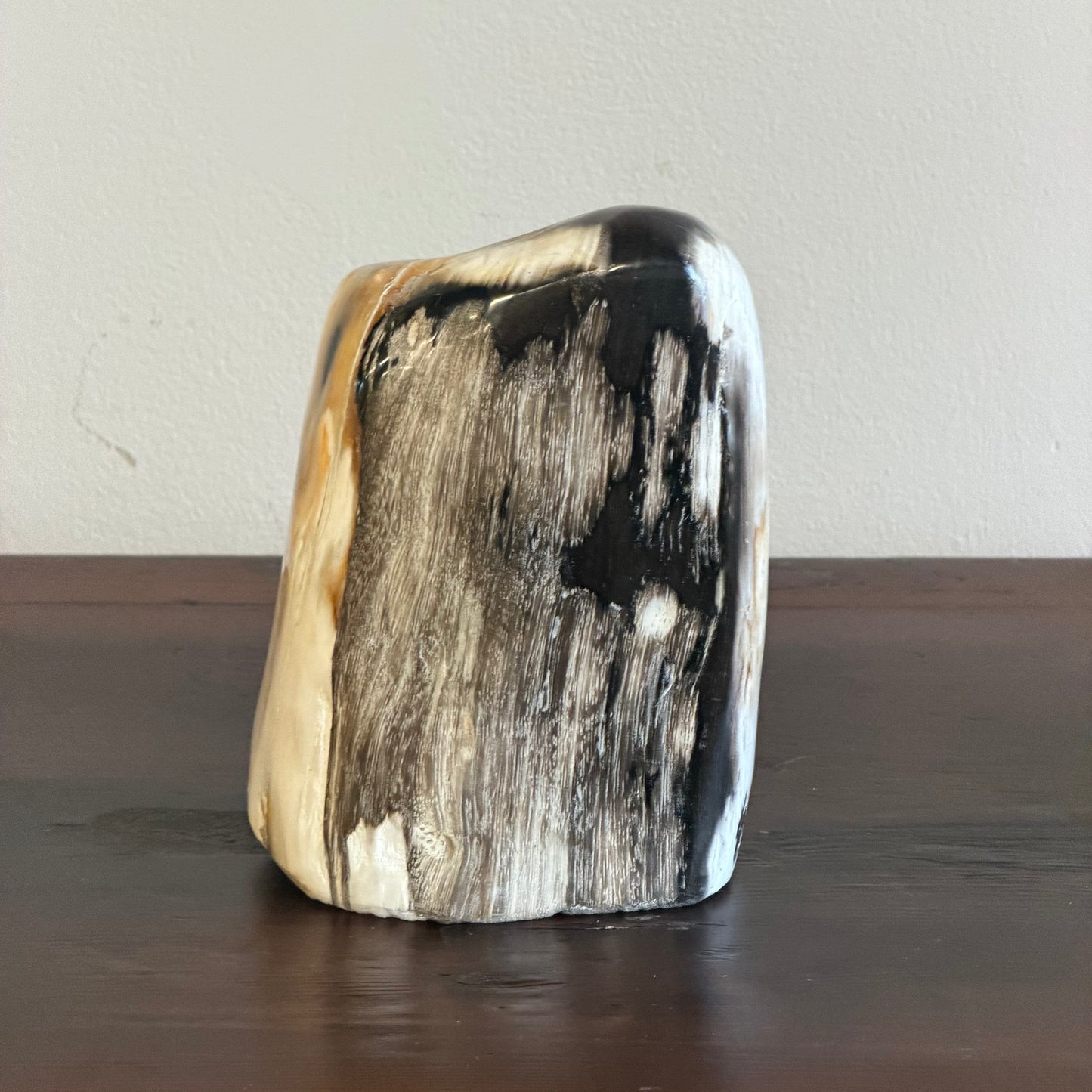 Scultura in legno fossile - 50007 B