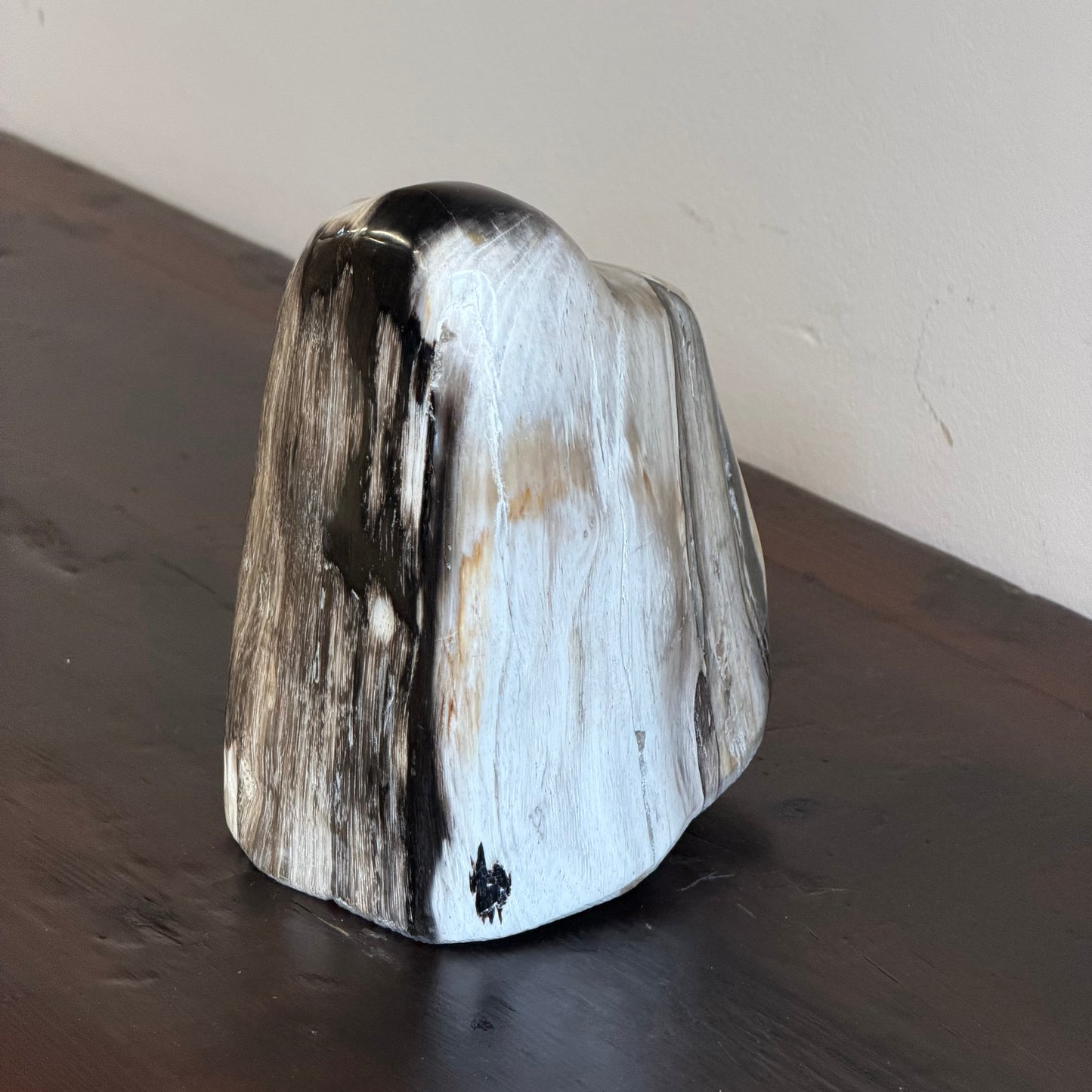 Scultura in legno fossile - 50007 B