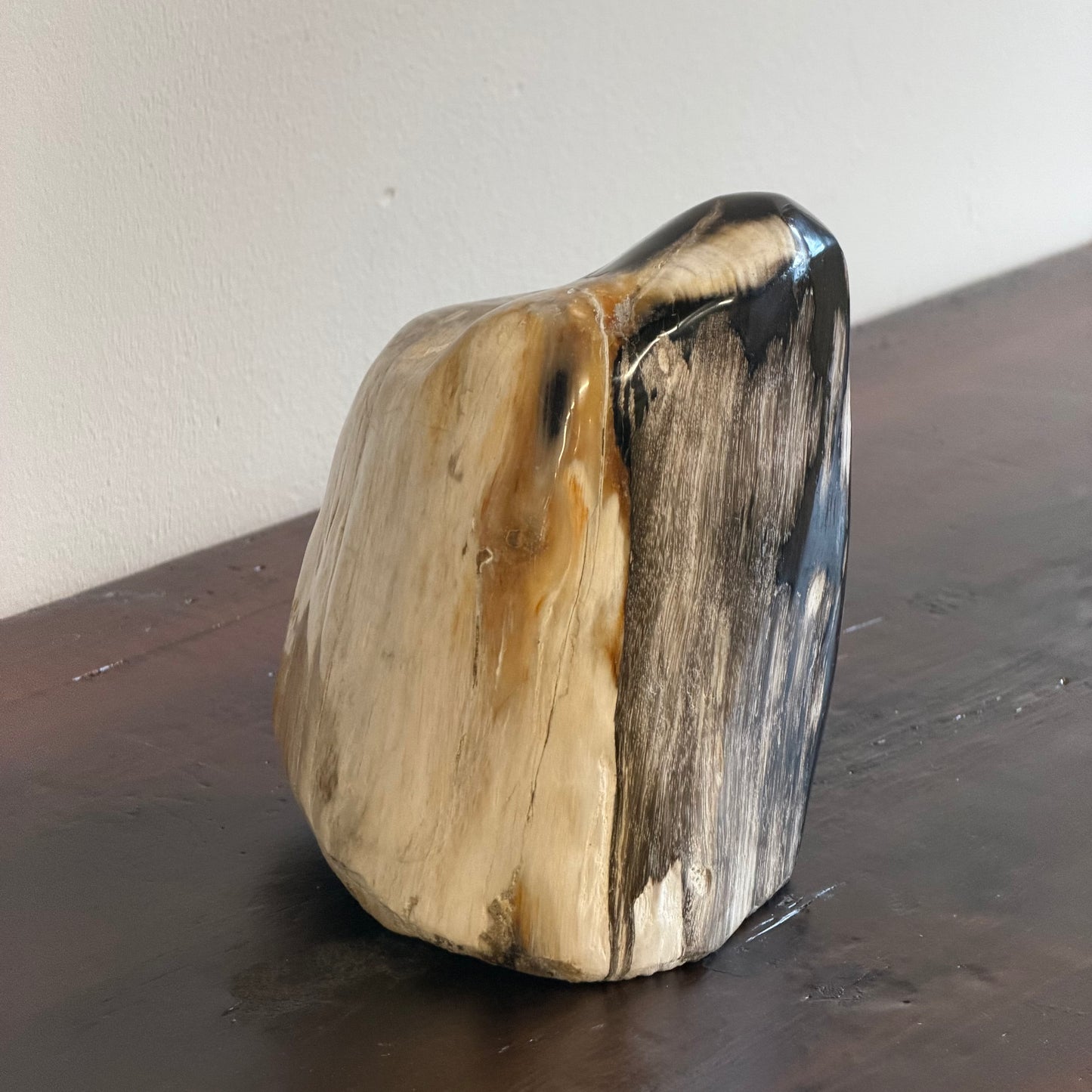 Scultura in legno fossile - 50007 B