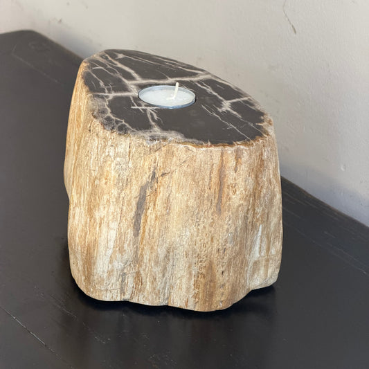 Portacandele in legno pietrificato - 50001