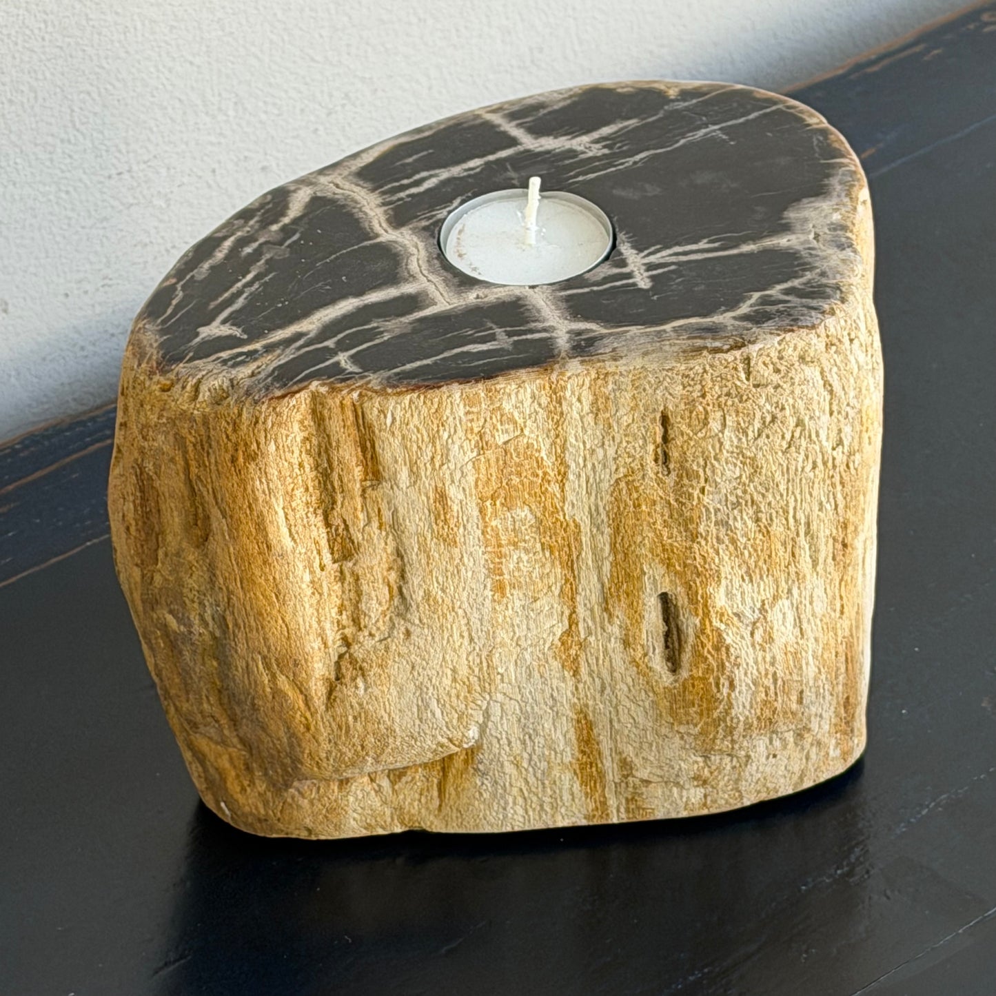 Portacandele in legno pietrificato - 50001