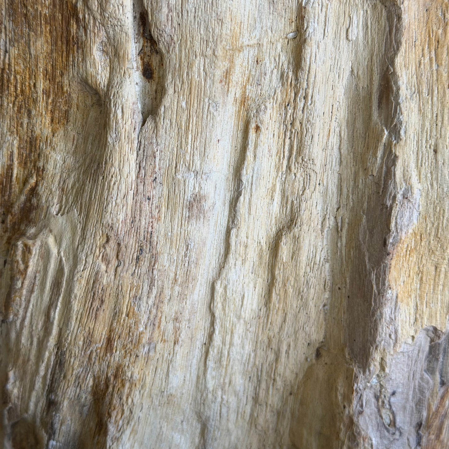 Portacandele - 61312 C