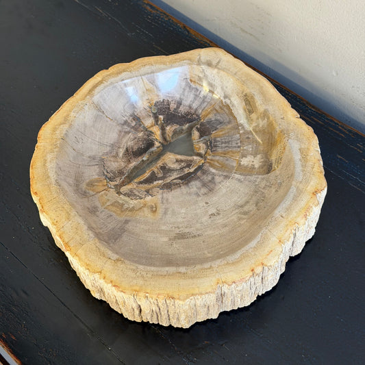 Piatto in legno fossile - 50004 A