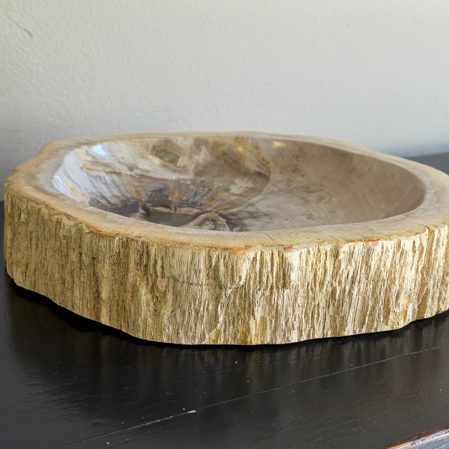 Piatto in legno fossile - 50004 A