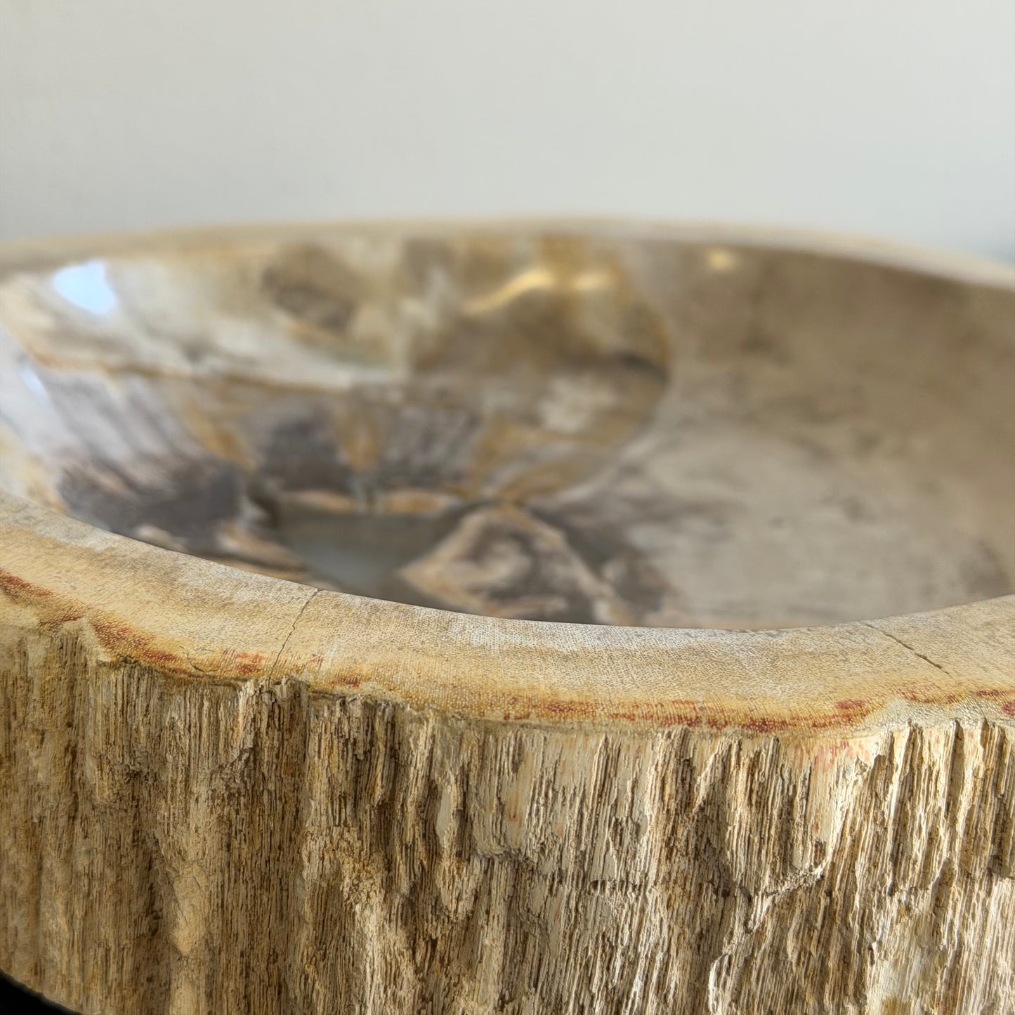 Piatto in legno fossile - 50004 A