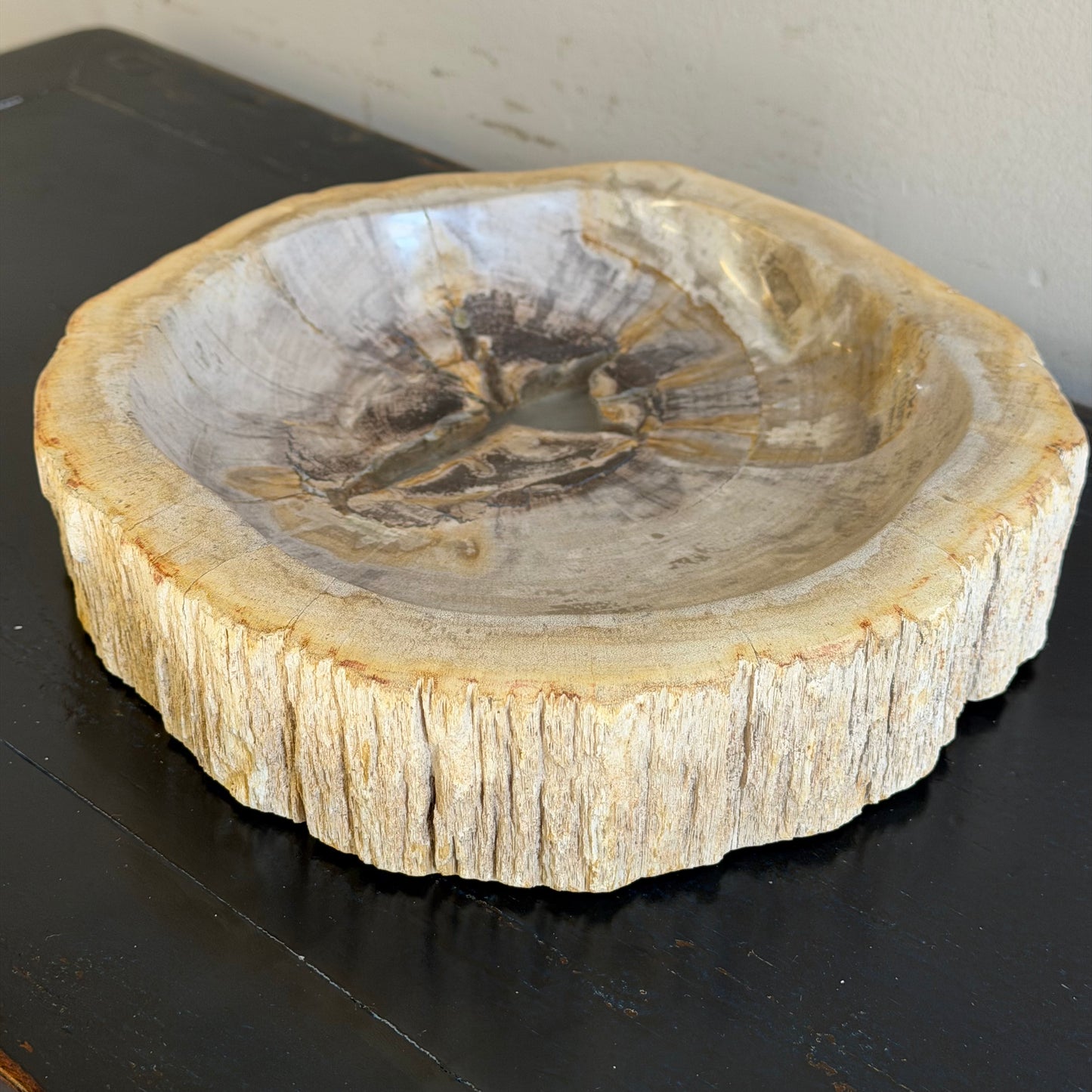 Piatto in legno fossile - 50004 A