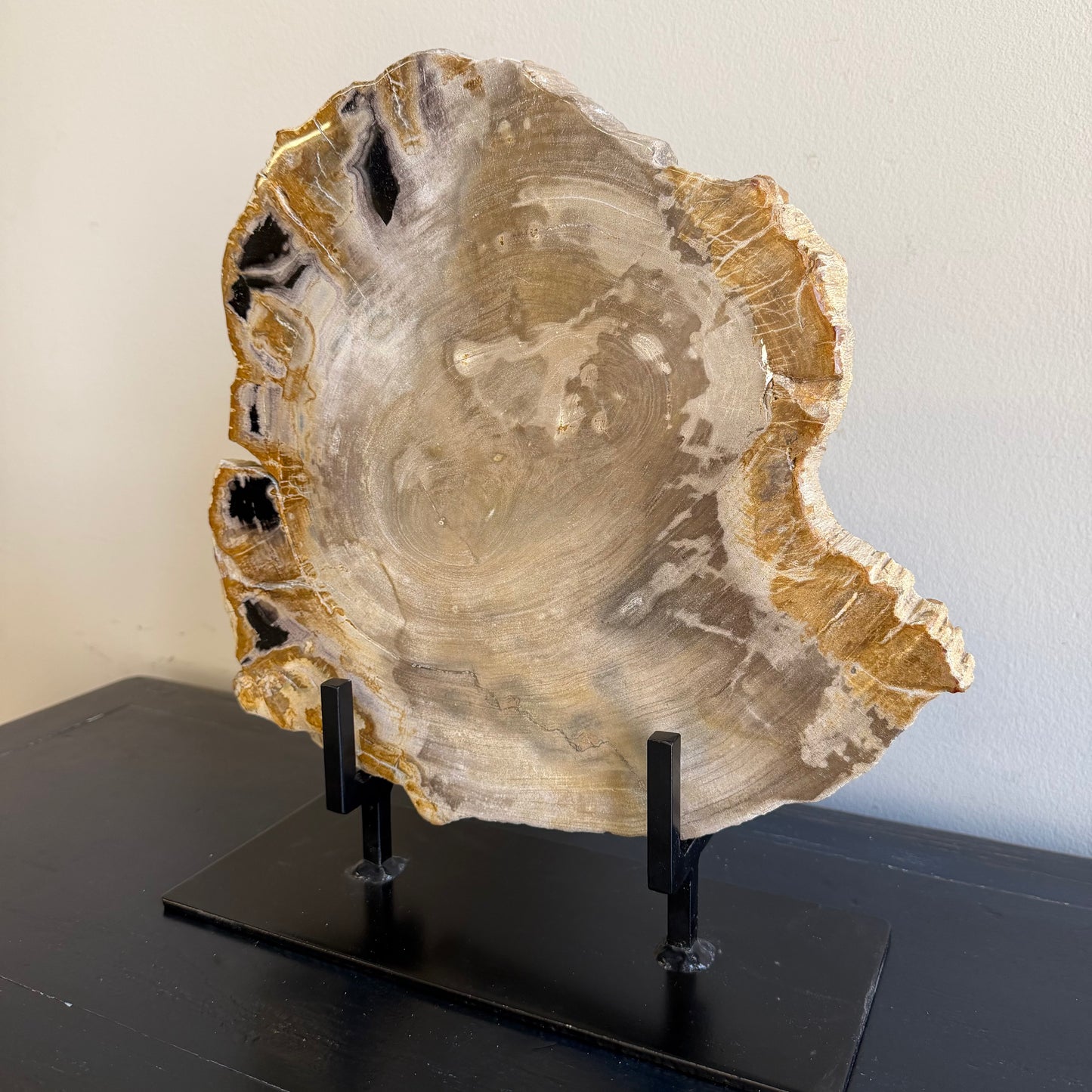 Lastra per tavolino in legno fossile - 50003 F