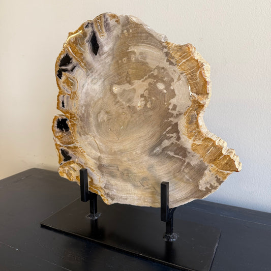 Lastra per tavolino in legno fossile - 50003 F