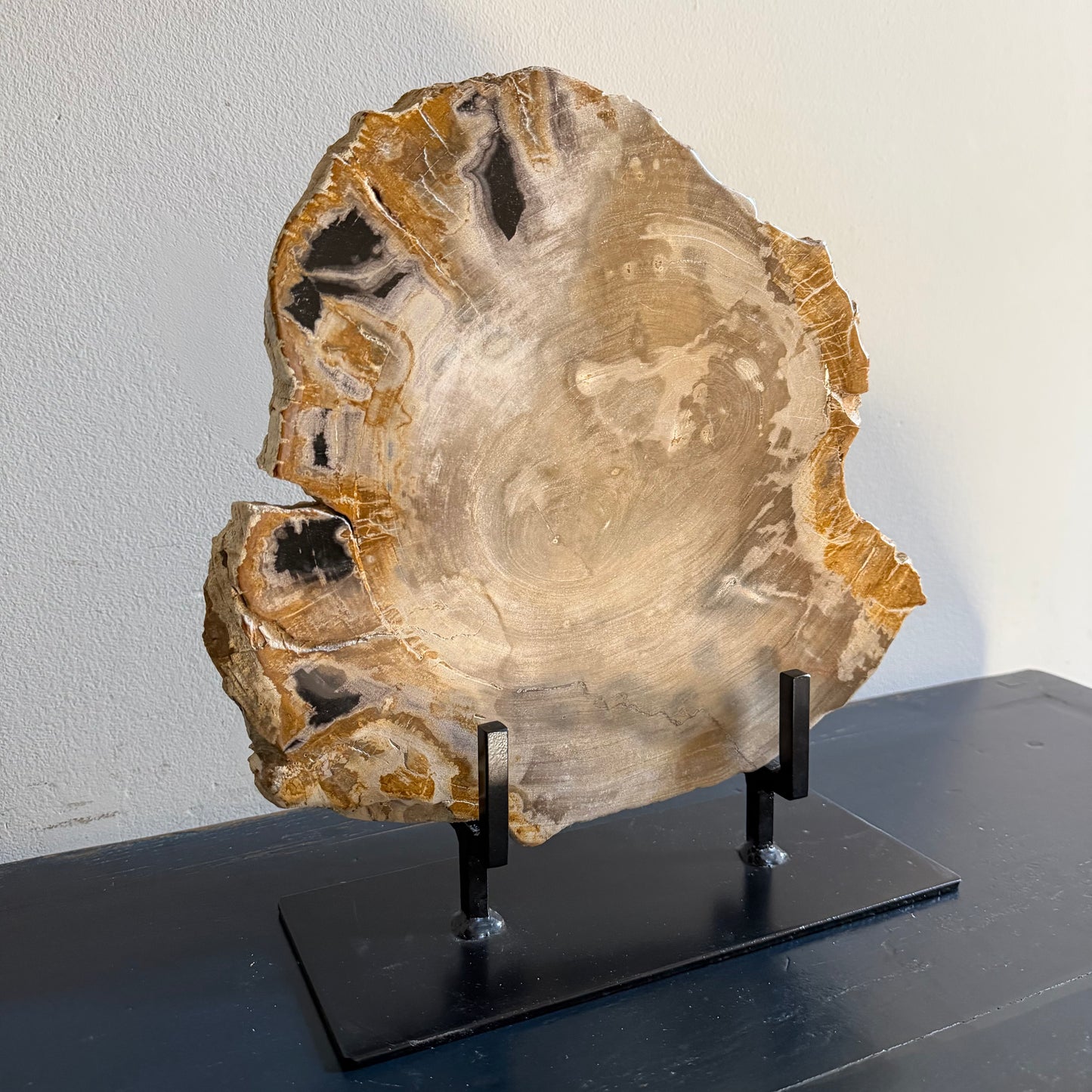 Lastra per tavolino in legno fossile - 50003 F
