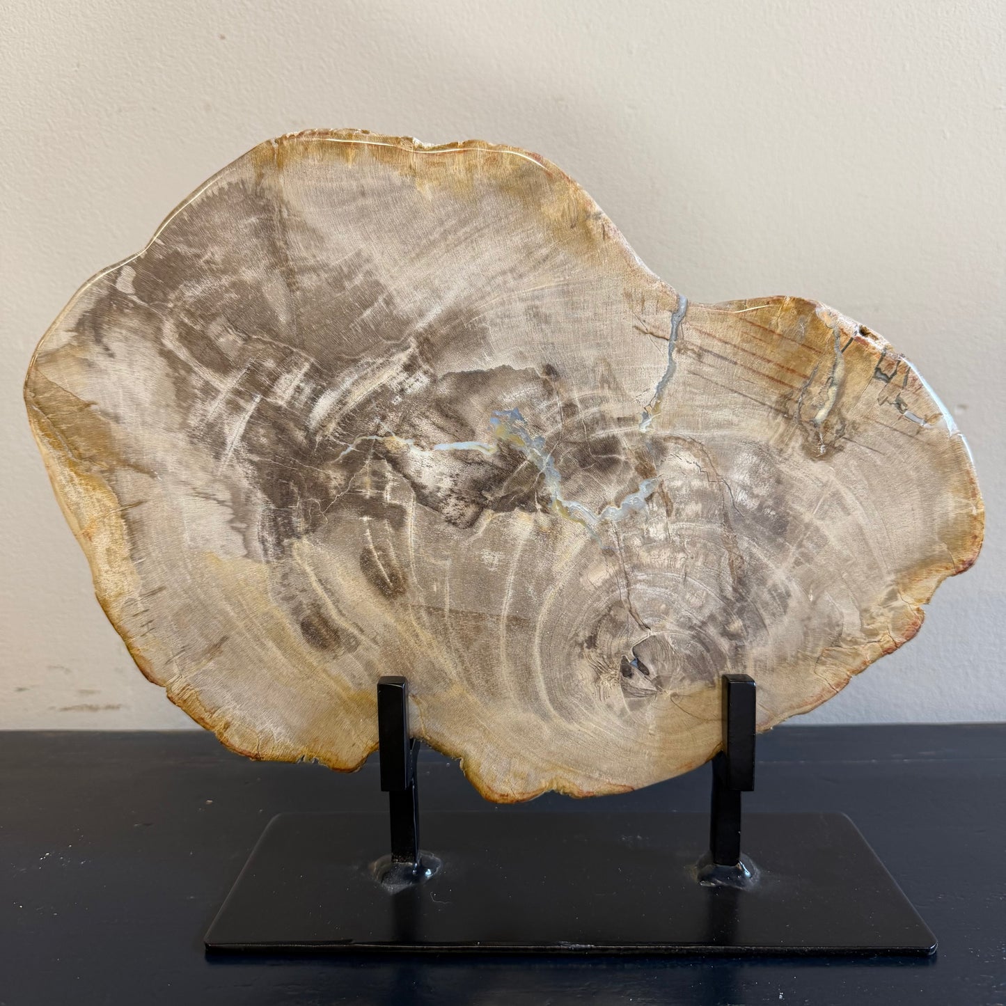 Lastra per tavolino in legno fossile - 50003 C