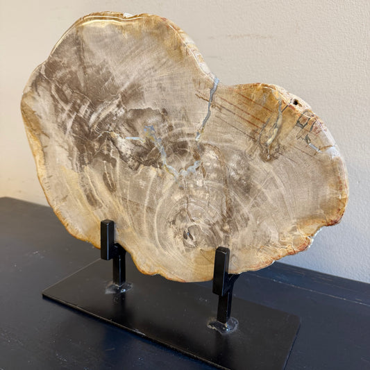 Lastra per tavolino in legno fossile - 50003 C