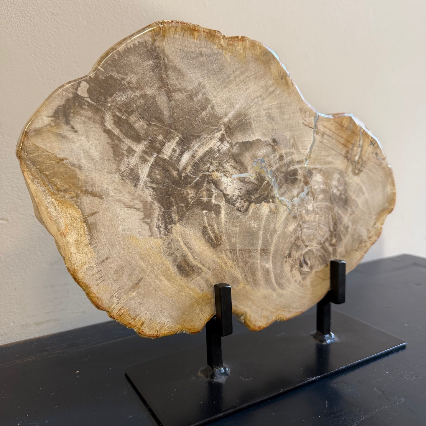 Lastra per tavolino in legno fossile - 50003 C