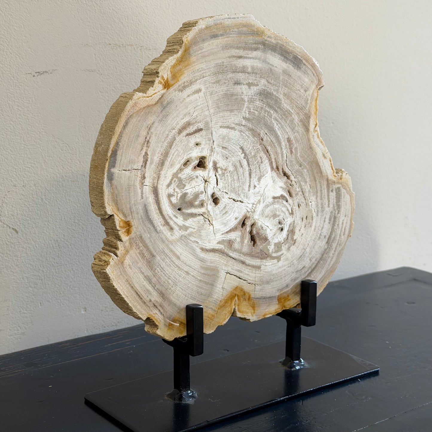 Lastra per tavolino in legno fossile - 50003 B