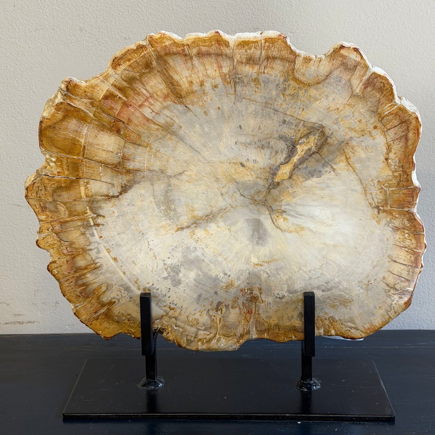Lastra per tavolino in legno fossile - 50003 E