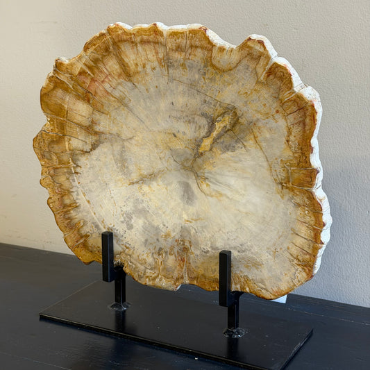 Lastra per tavolino in legno fossile - 50003 E