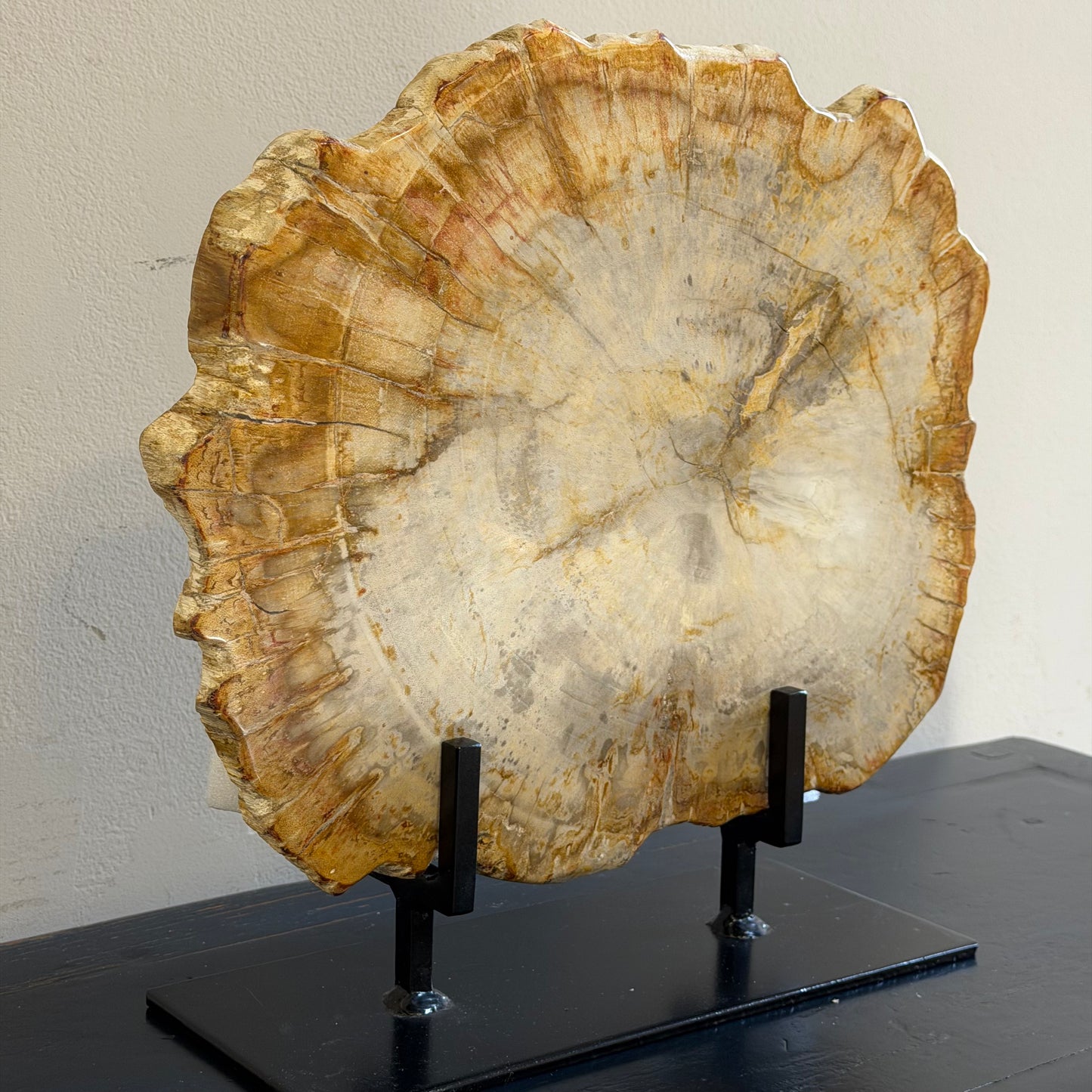Lastra per tavolino in legno fossile - 50003 E
