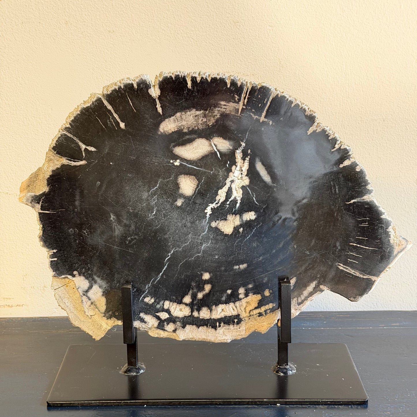 Lastra per tavolino in legno fossile - 50003 D