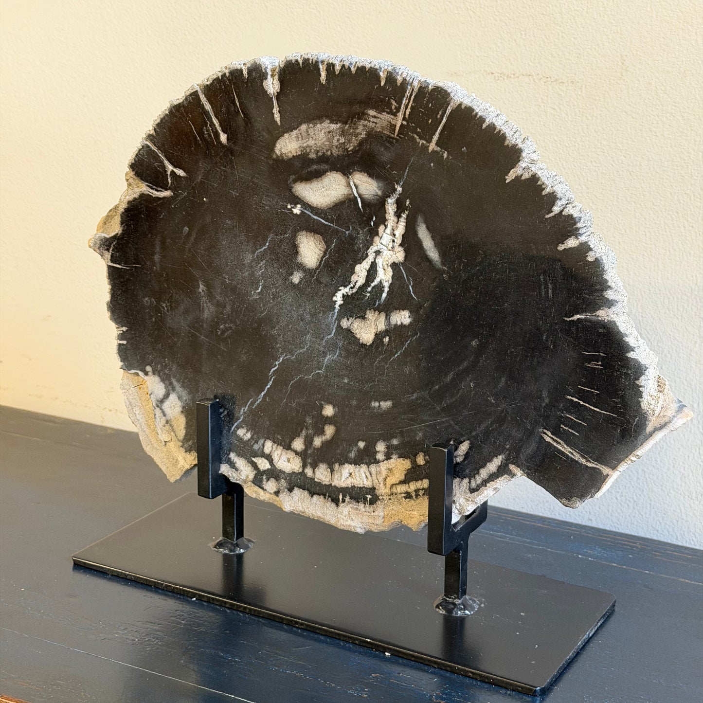 Lastra per tavolino in legno fossile - 50003 D
