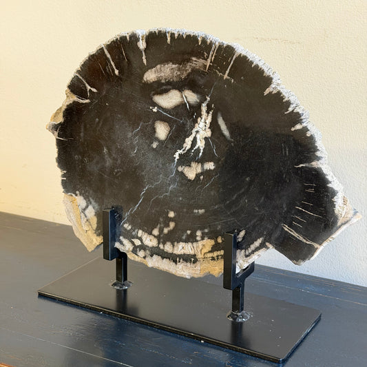 Lastra per tavolino in legno fossile - 50003 D