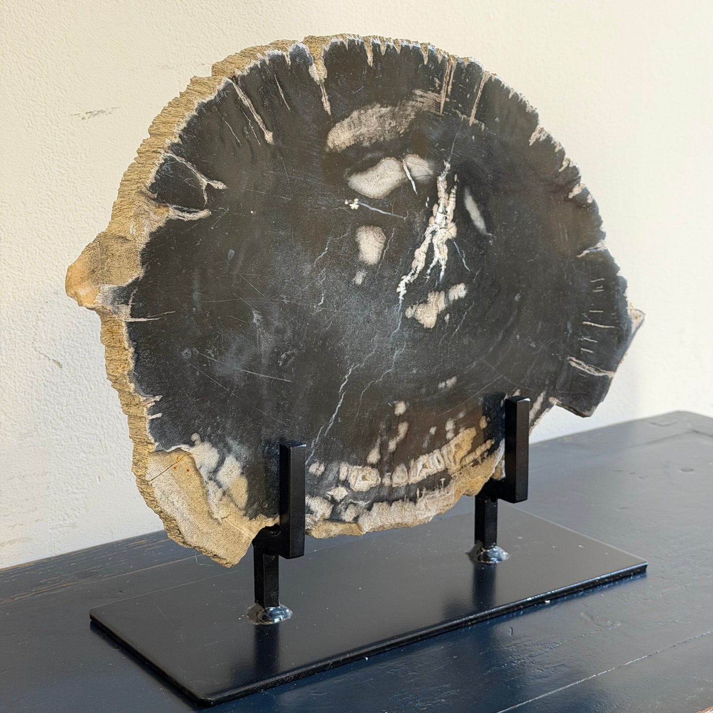 Lastra per tavolino in legno fossile - 50003 D