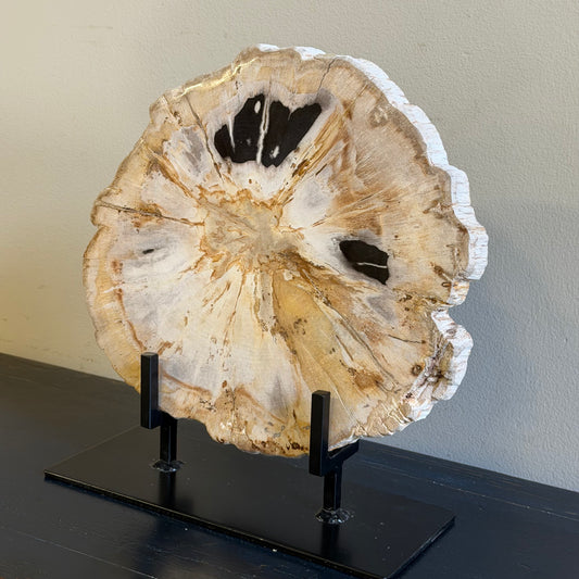 Lastra per tavolino in legno fossile - 53167