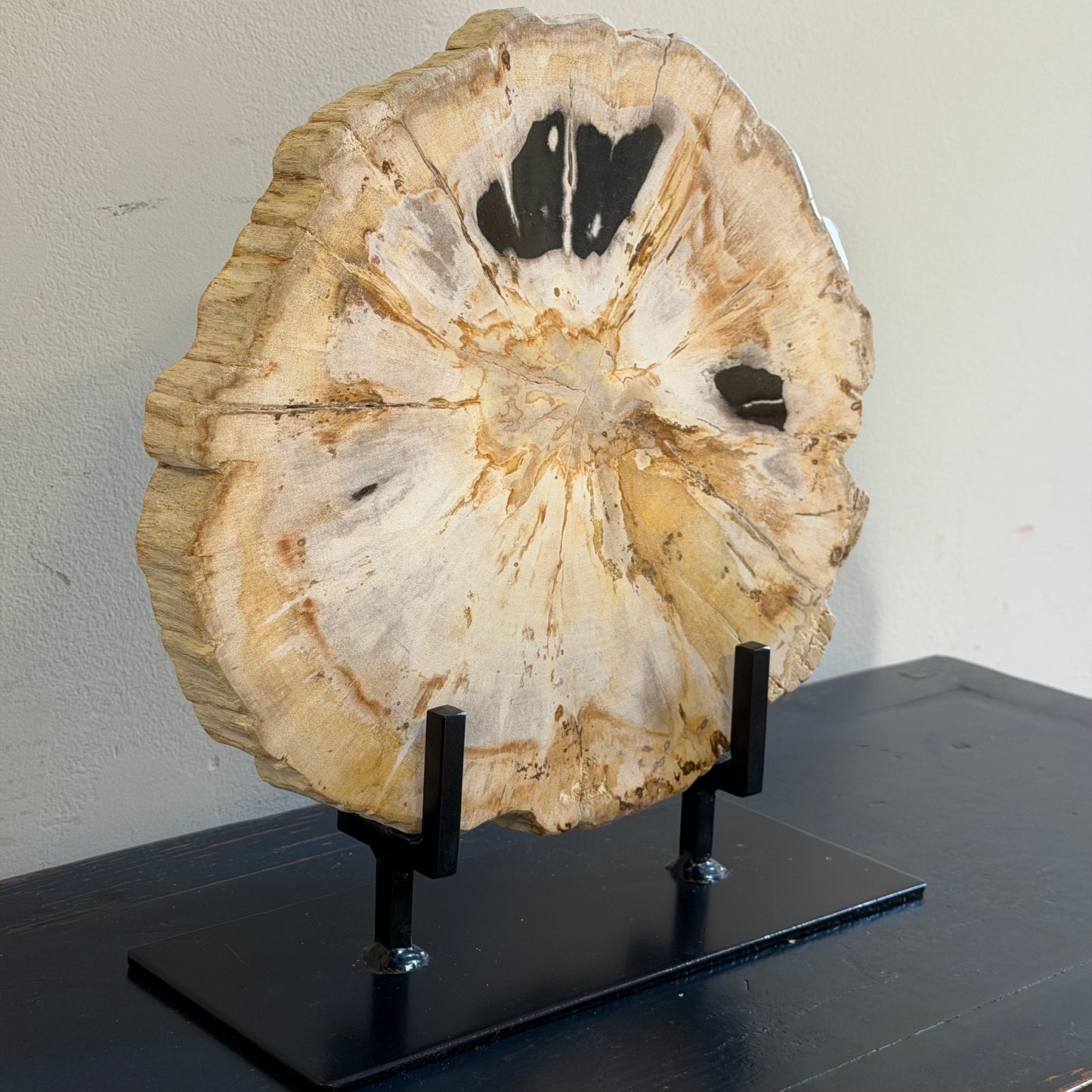 Lastra per tavolino in legno fossile - 53167