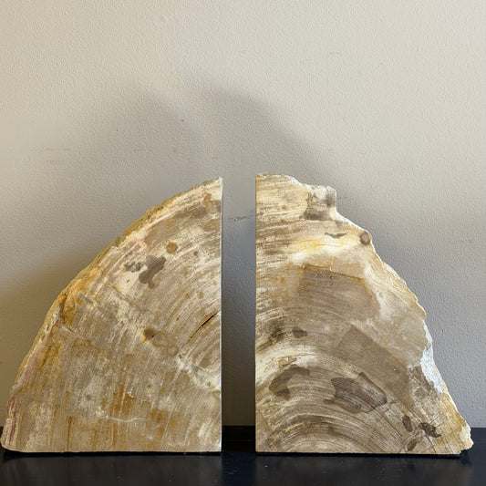 Coppia di fermalibri in legno pietrificato - 38352