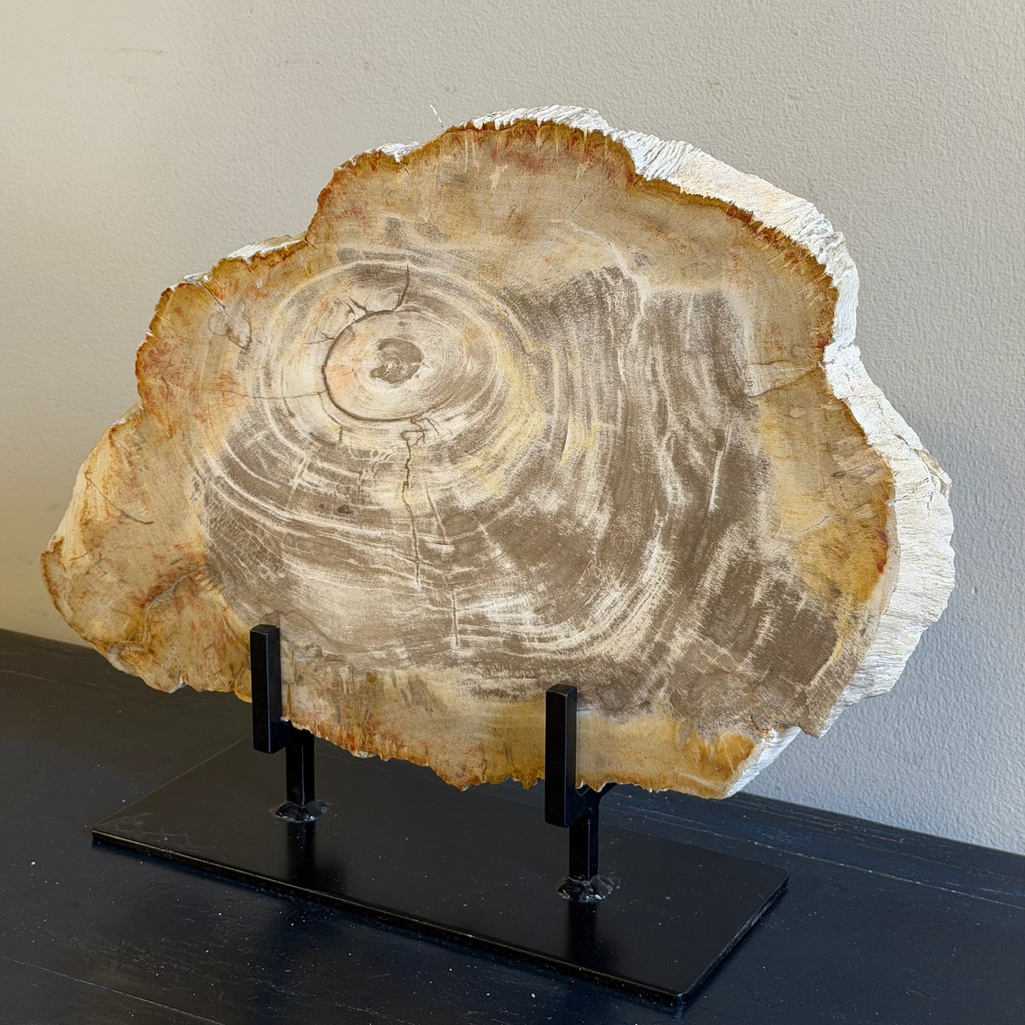 Lastra per tavolino in legno fossile - 48249