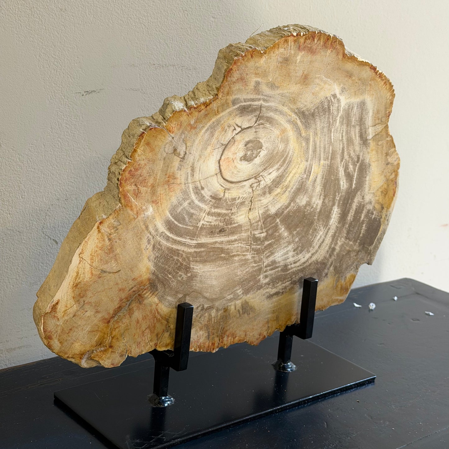 Lastra per tavolino in legno fossile - 48249