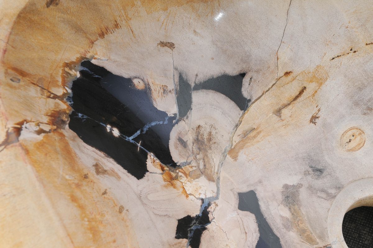 Lavandino da appoggio in legno pietrificato - 48320