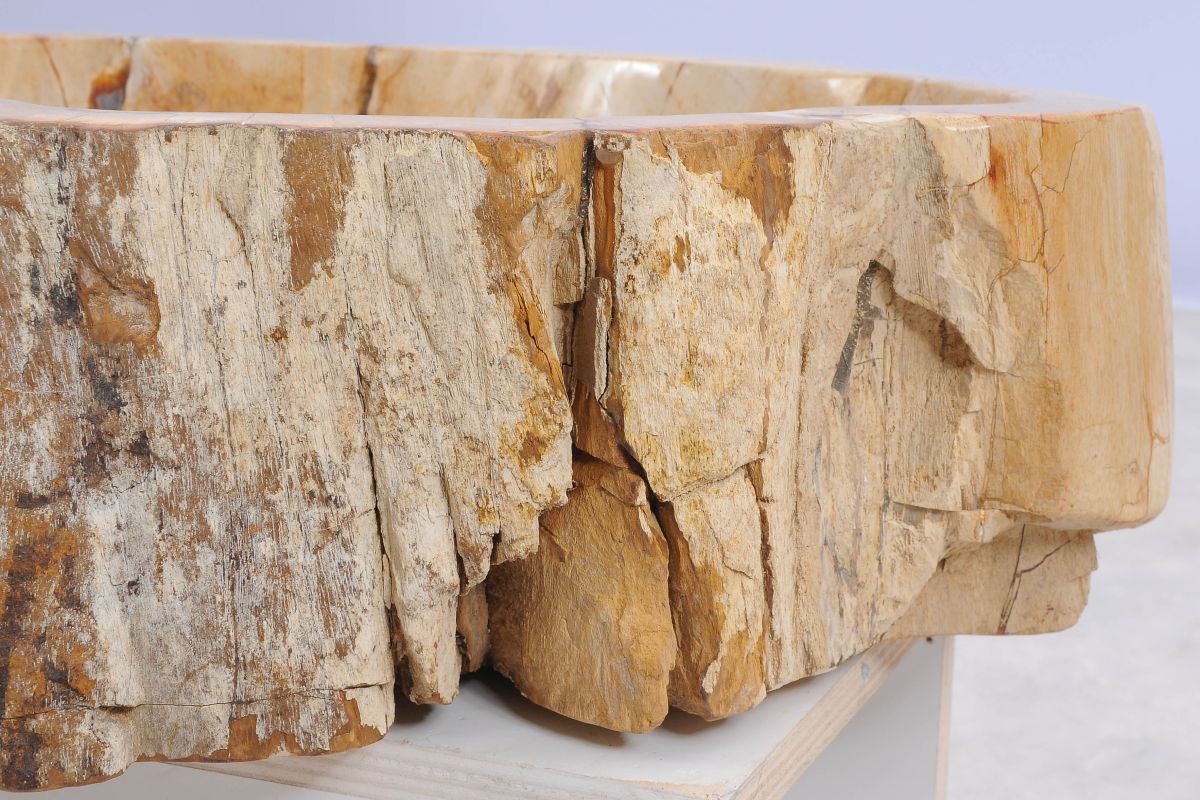 Lavandino da appoggio in legno pietrificato - 50208