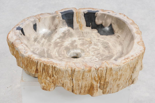Lavandino in legno pietrificato - 50241