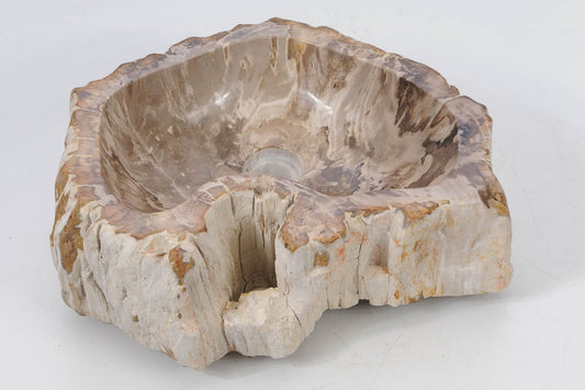 Lavandino in legno pietrificato - 53412
