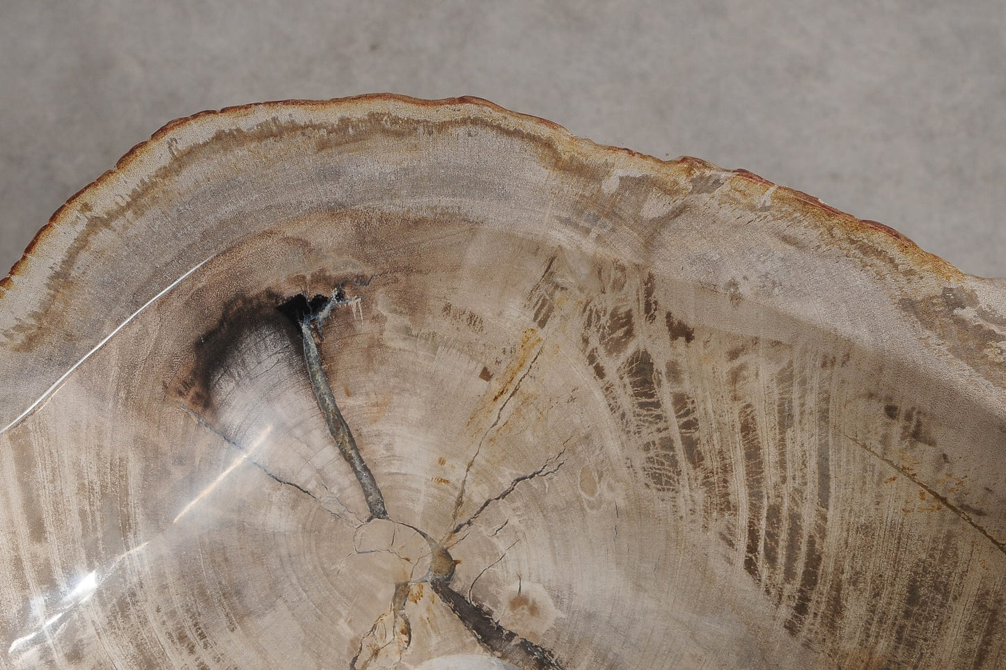 Lavandino da appoggio in legno pietrificato - 60418