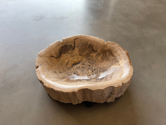 Piatto in legno fossile - 50004A-1