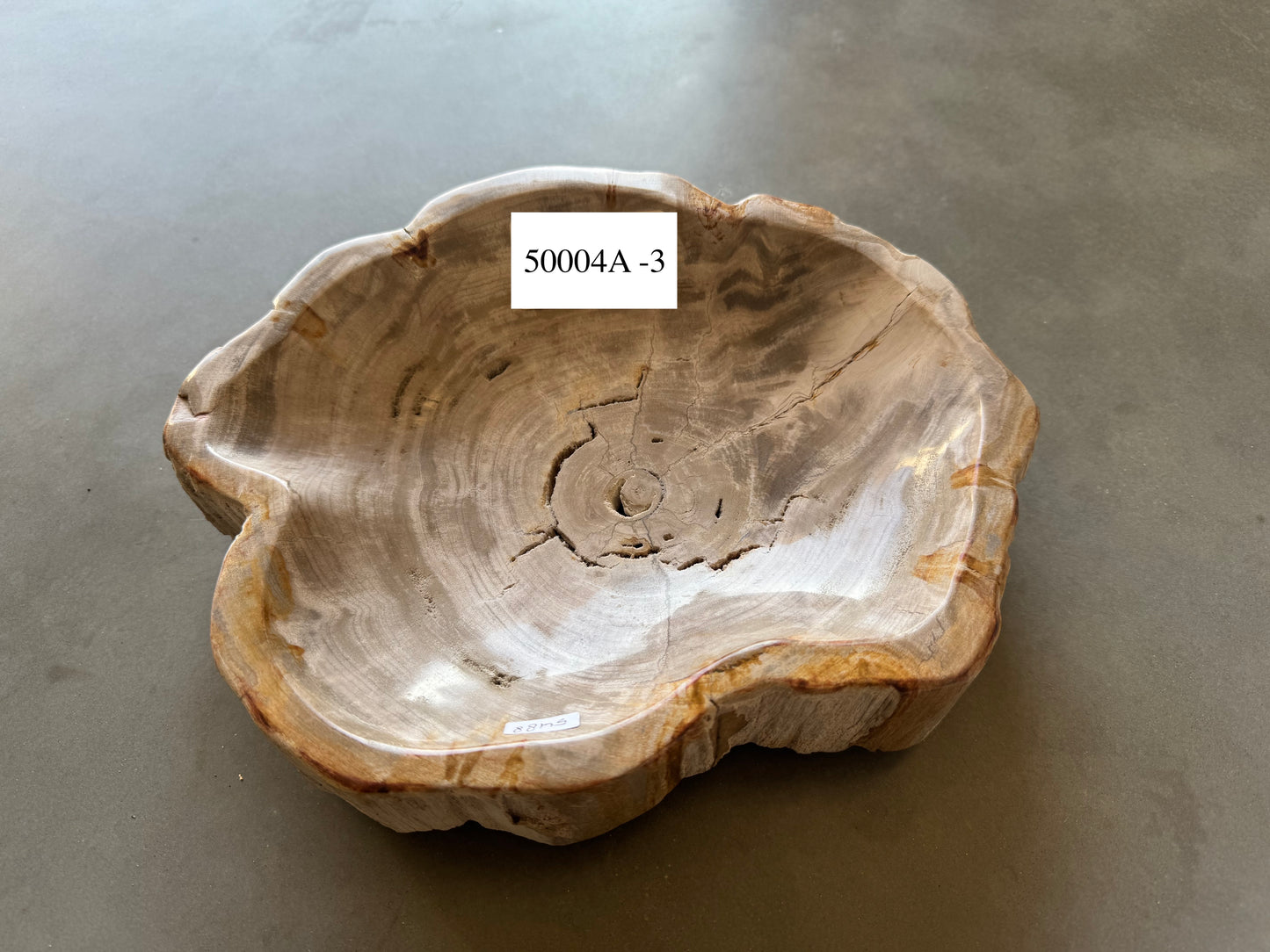 Piatto in legno fossile - 50004A-3