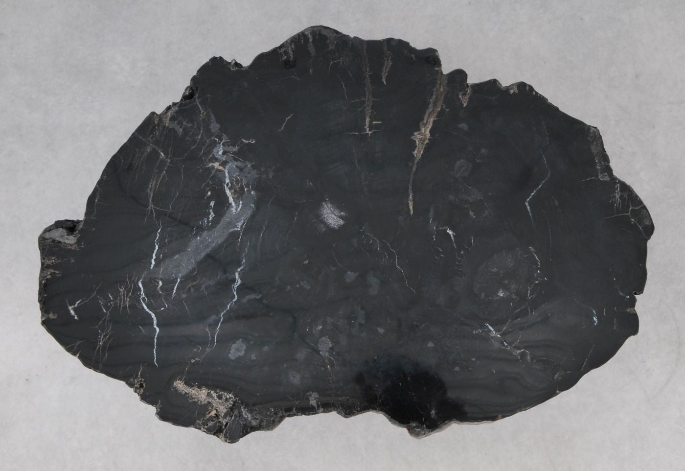 Lastra per tavolino in legno fossile - 53156