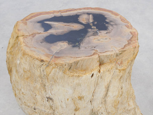 Tavolino tronco in legno pietrificato - 47008