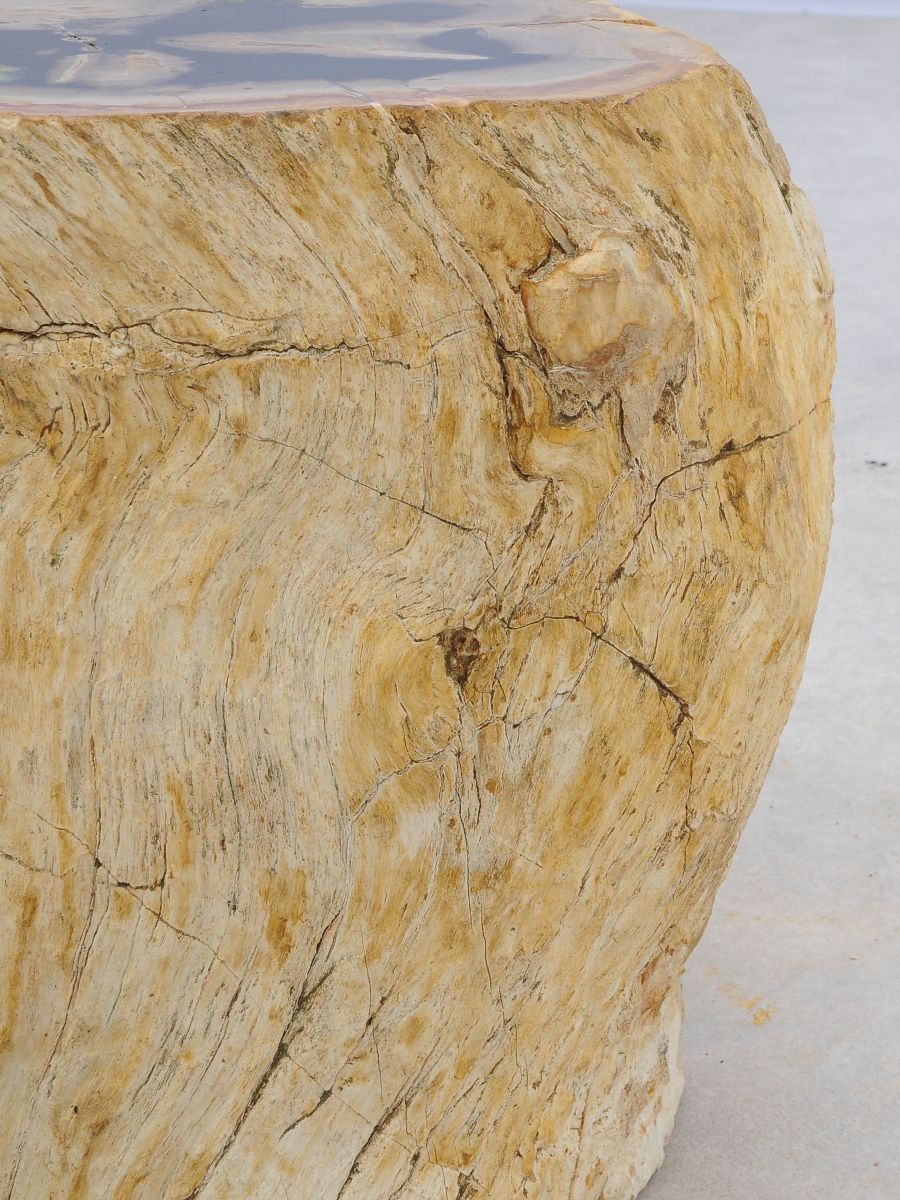 Tavolino tronco in legno pietrificato - 47008