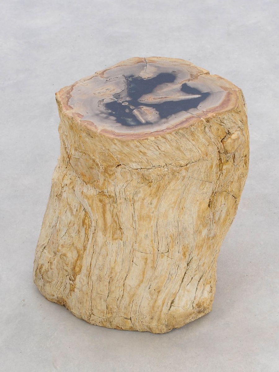 Tavolino tronco in legno pietrificato - 47008