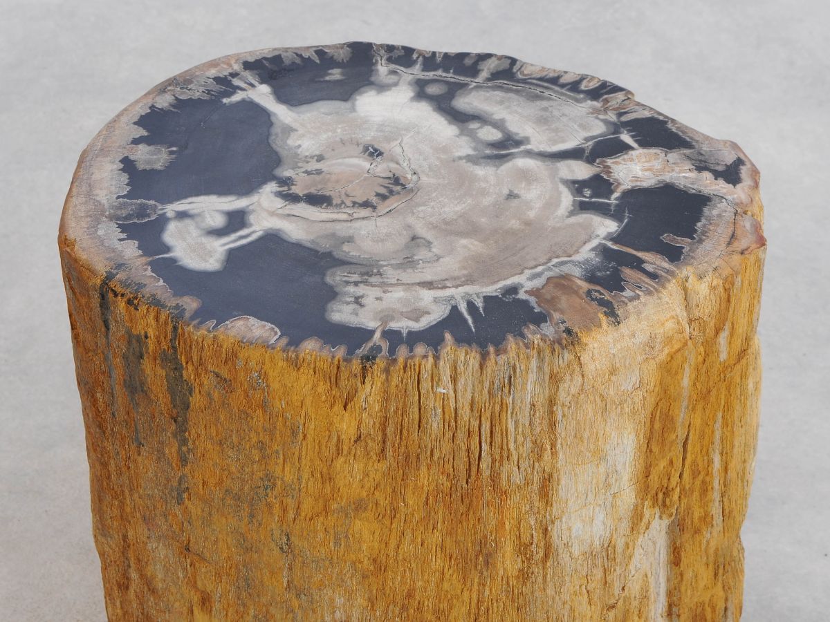 Tavolino tronco in legno pietrificato - 48039