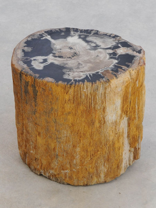 Tavolino tronco in legno pietrificato - 48039