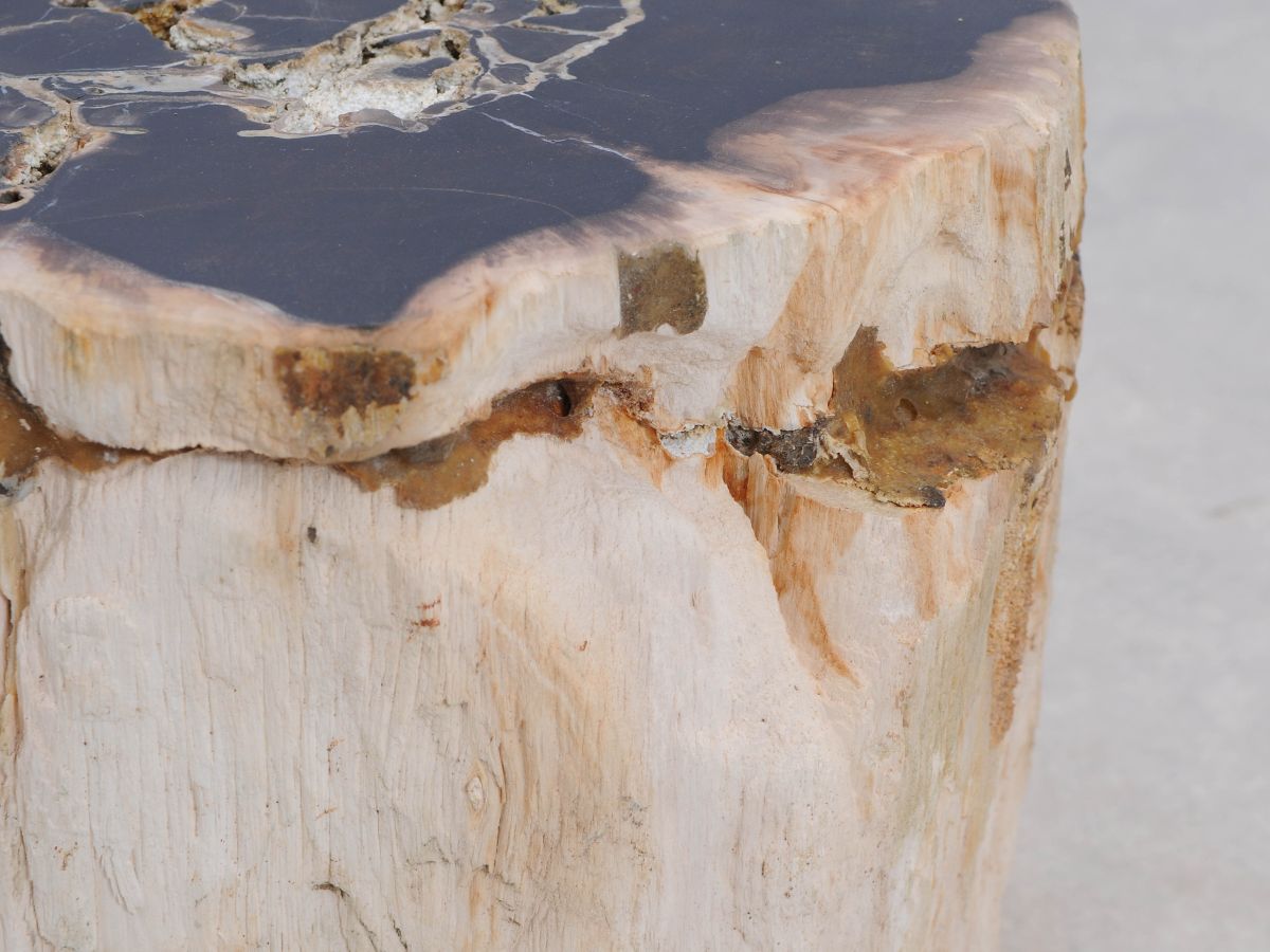 Tavolino tronco in legno pietrificato - 48049