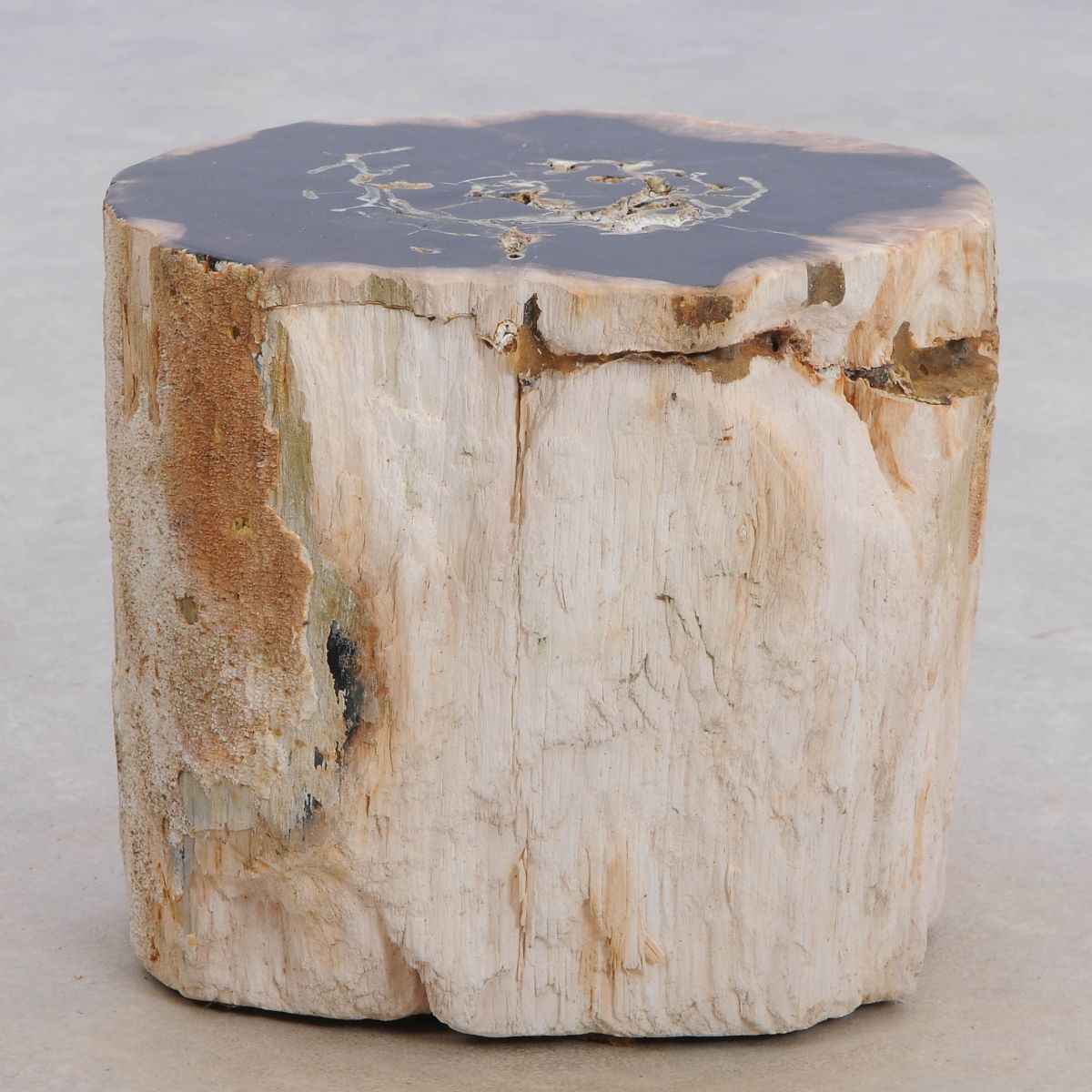 Tavolino tronco in legno pietrificato - 48049