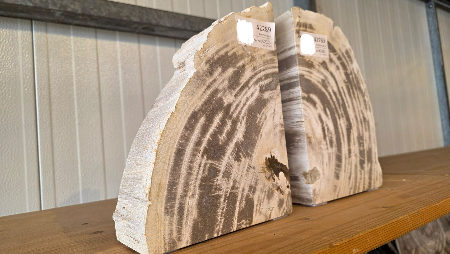 Coppia di fermalibri in legno pietrificato - 42289